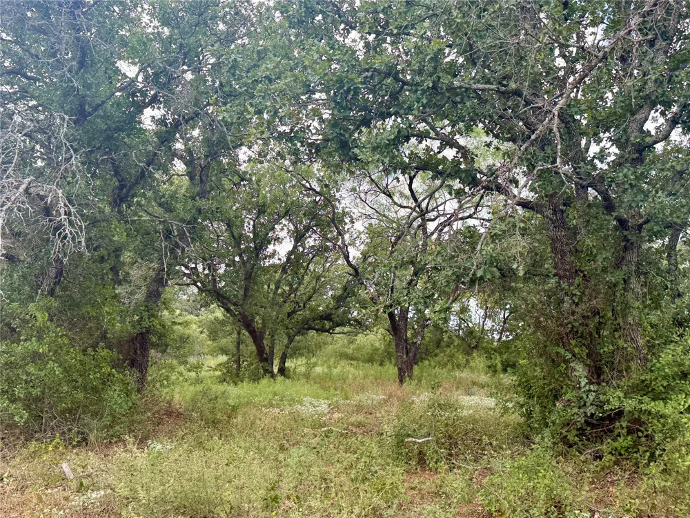 405 County Road 102 Santa Anna, TX 76878