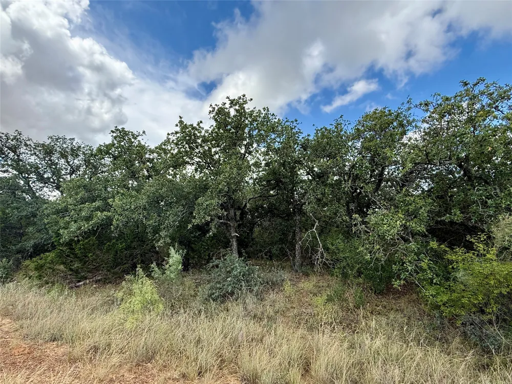405 County Road 102 Santa Anna, TX 76878