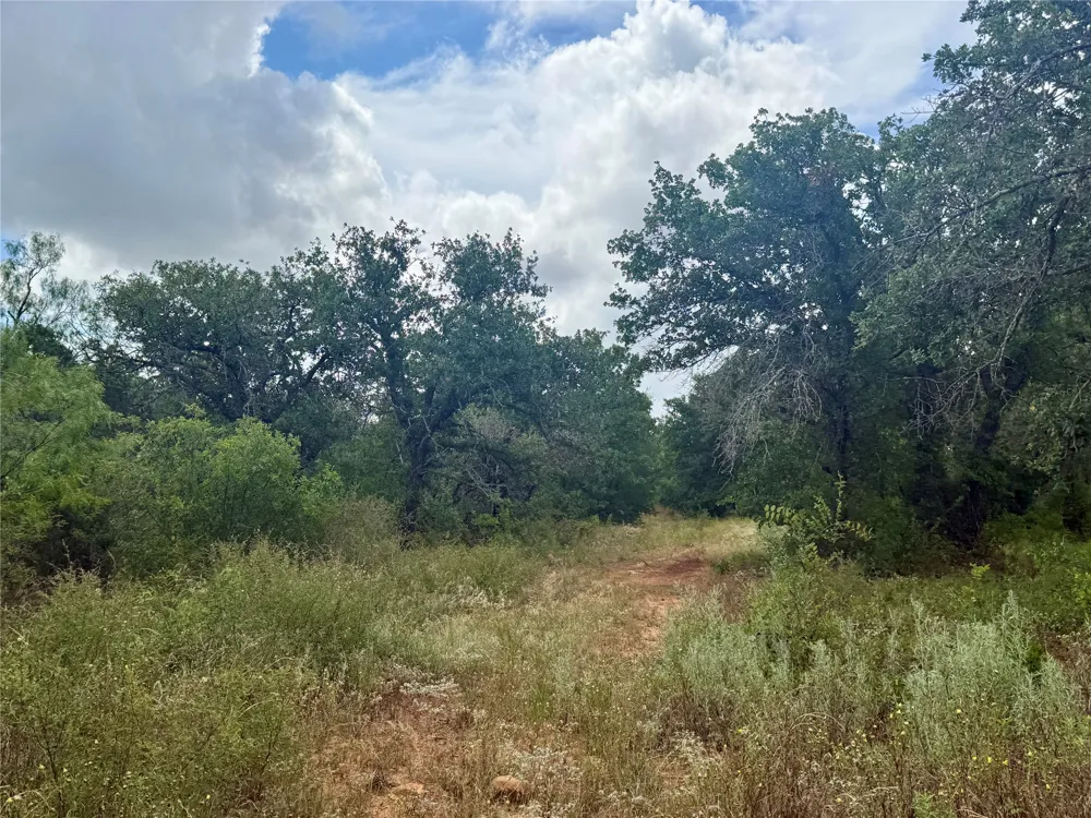 405 County Road 102 Santa Anna, TX 76878