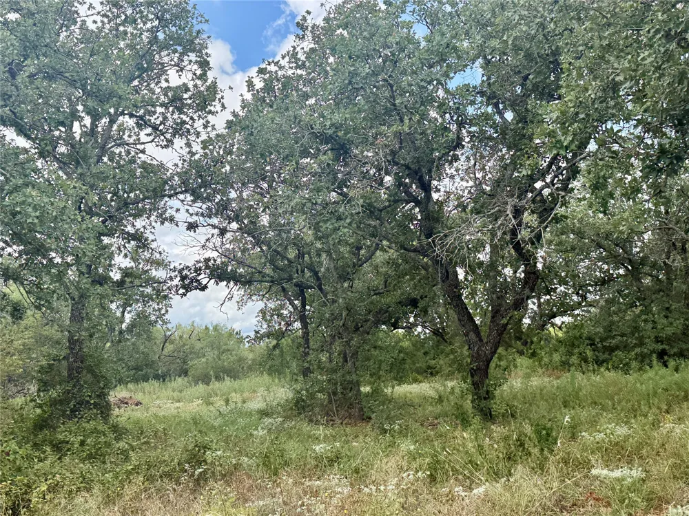 405 County Road 102 Santa Anna, TX 76878