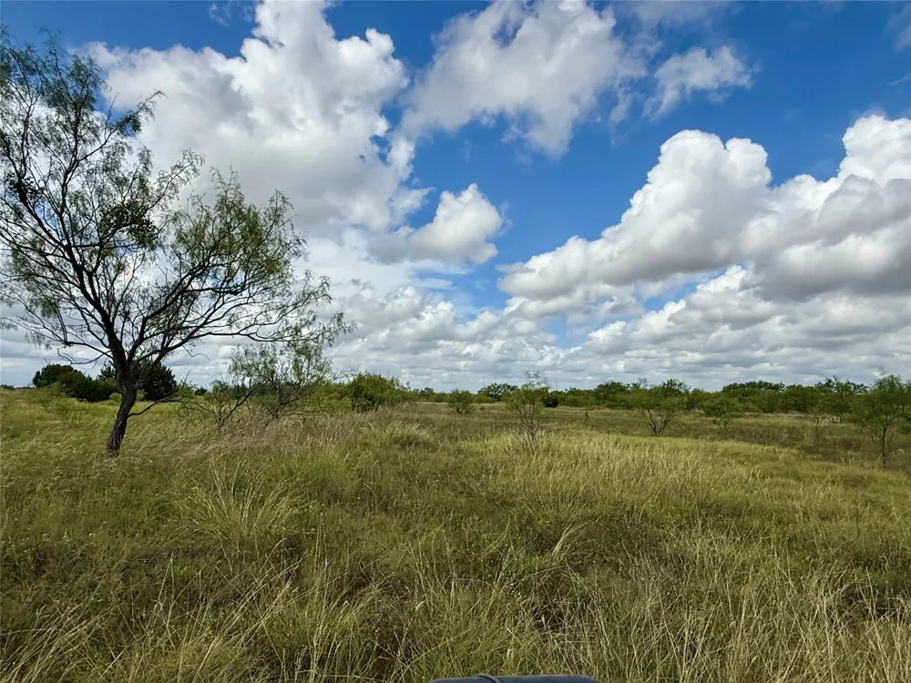 405 County Road 102 Santa Anna, TX 76878