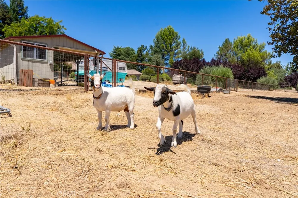 1380 Shane Templeton, CA 93465