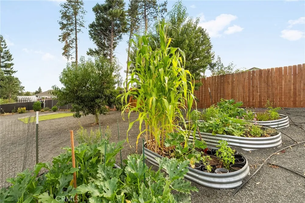 1458 Leafy Lane Paradise, CA 95969