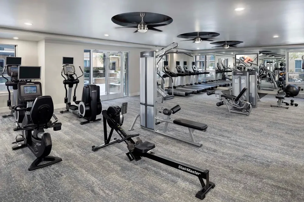 3939 W Alabama Street #1-559 Houston, TX 77027