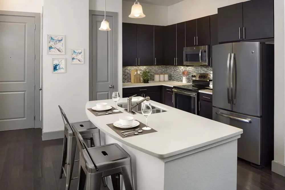 3939 W Alabama Street #1-559 Houston, TX 77027