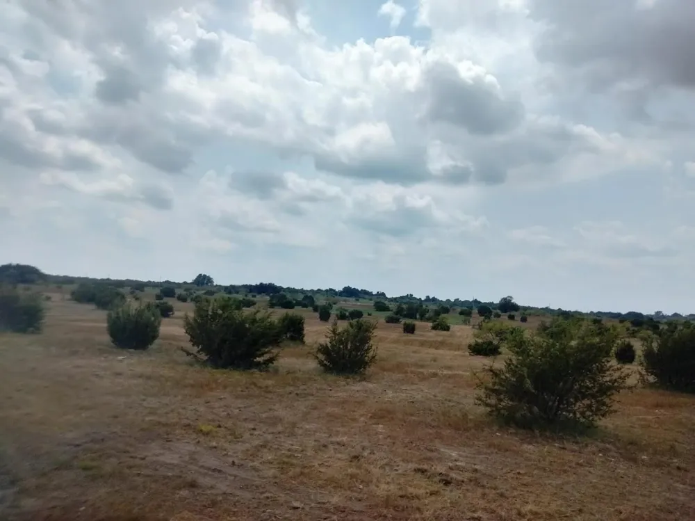 520 Hollow Drive Lipan, TX 76433