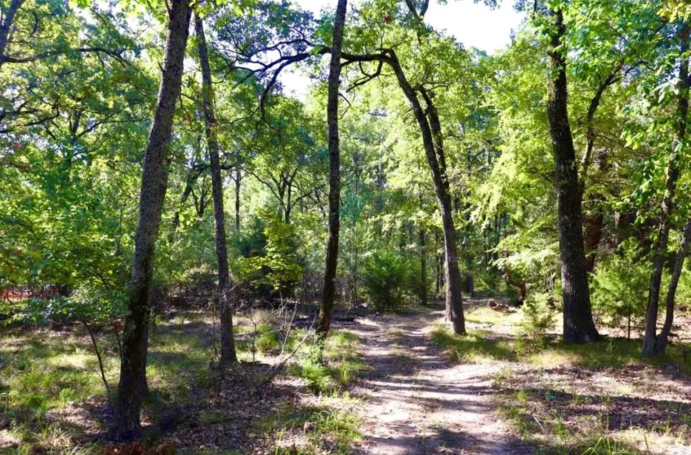 801 Wood Duck Trace Quinlan, TX 75474