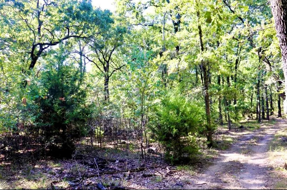 801 Wood Duck Trace Quinlan, TX 75474