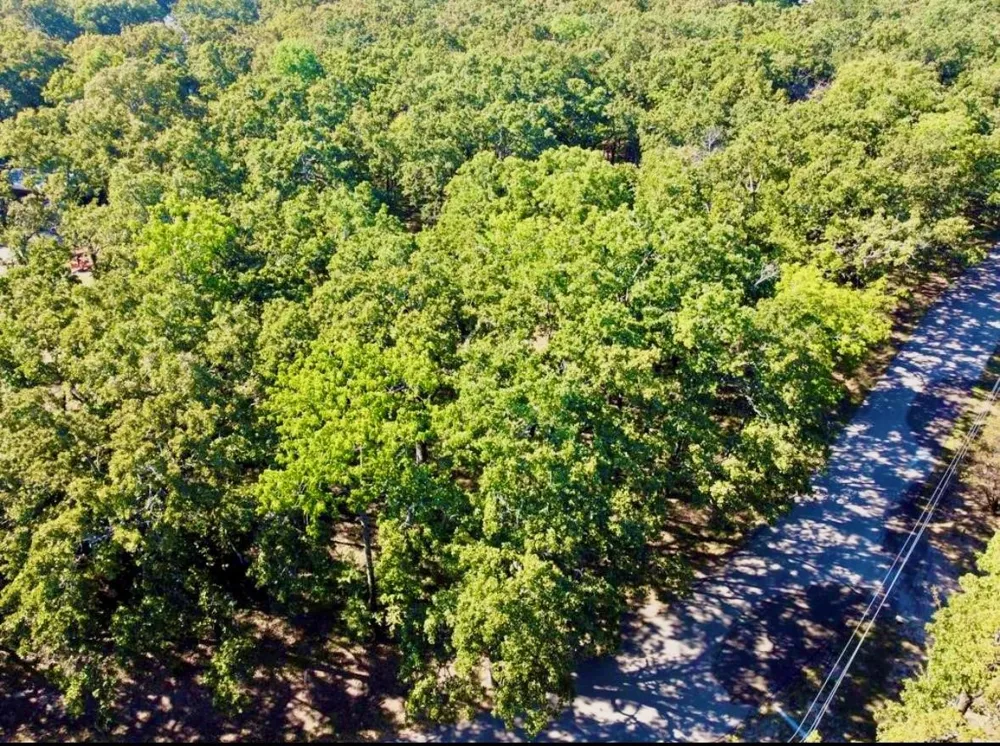 801 Wood Duck Trace Quinlan, TX 75474