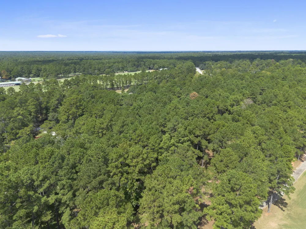 37432 Club house Lane Montgomery, TX 77355