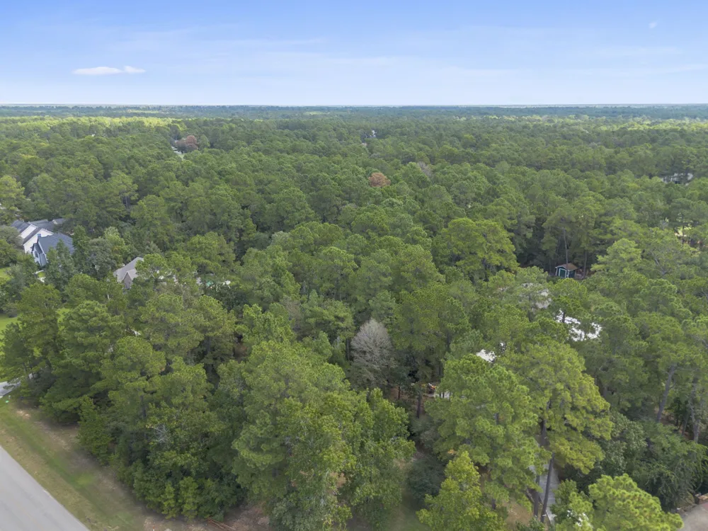37432 Club house Lane Montgomery, TX 77355