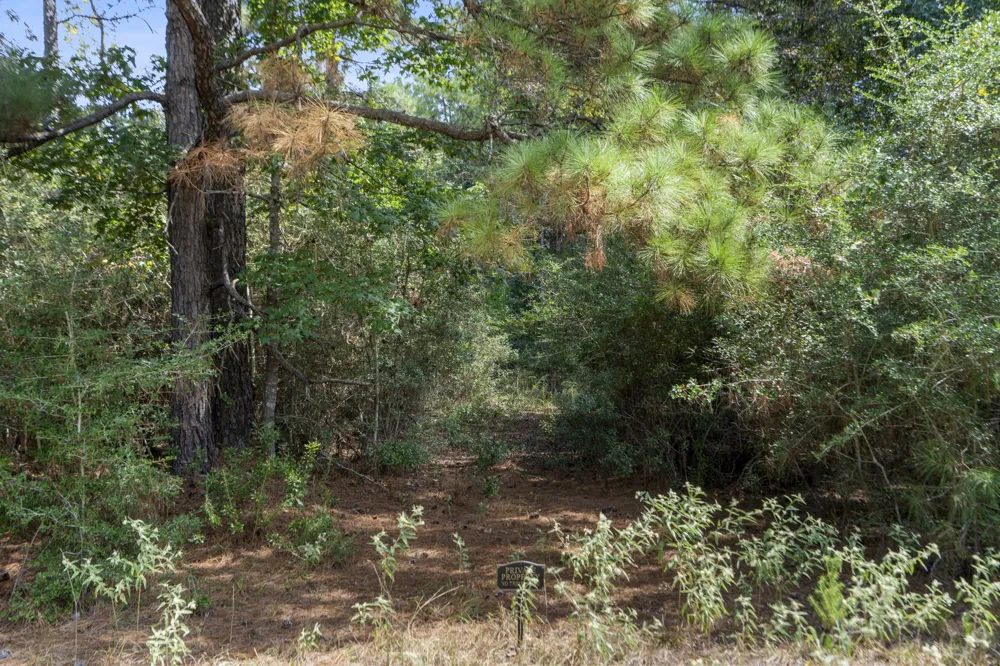 37432 Club house Lane Montgomery, TX 77355