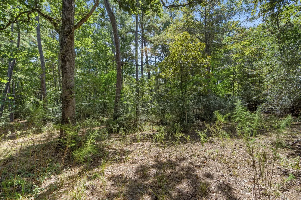 37432 Club house Lane Montgomery, TX 77355