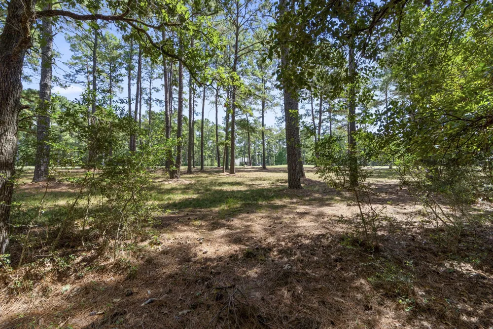 37432 Club house Lane Montgomery, TX 77355