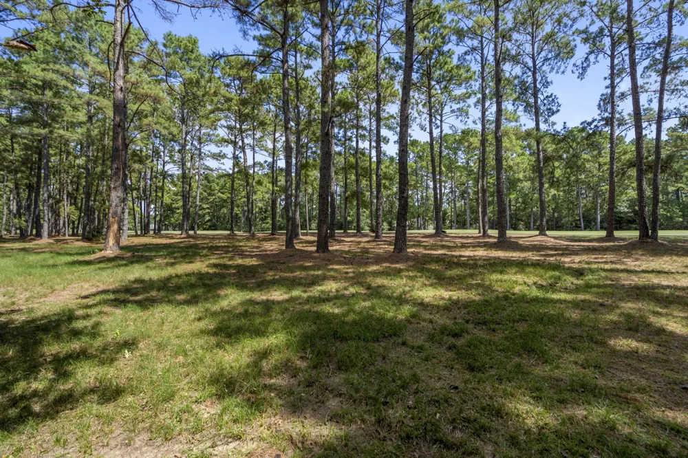 37432 Club house Lane Montgomery, TX 77355