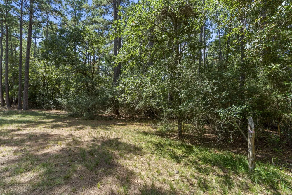 37432 Club house Lane Montgomery, TX 77355