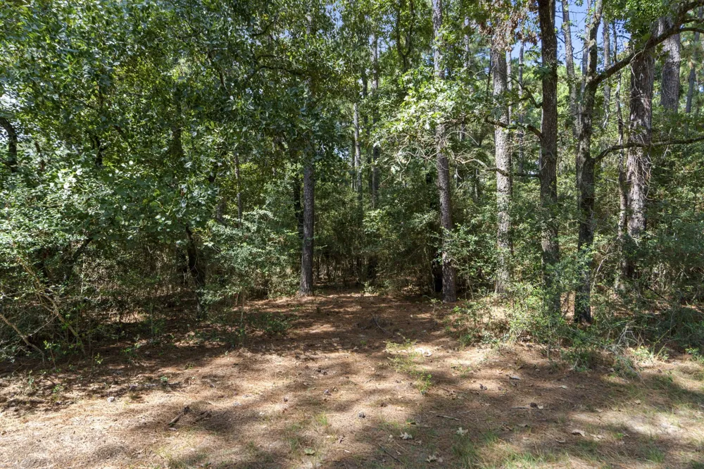 37432 Club house Lane Montgomery, TX 77355