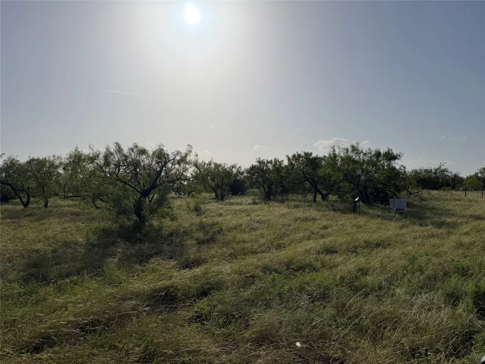 Comanche Hills Dr Comanche, TX 76442