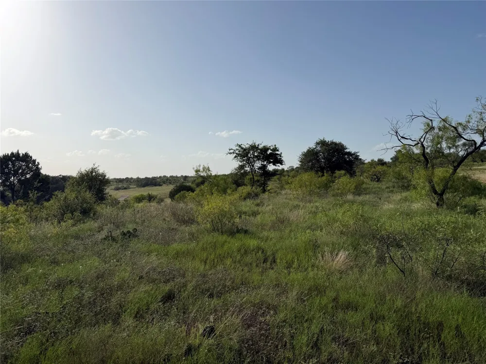 Comanche Hills Dr Comanche, TX 76442