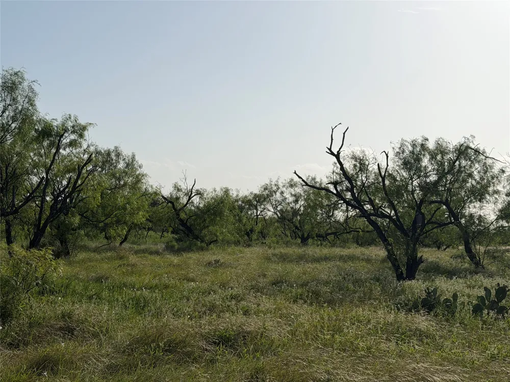 Comanche Hills Dr Comanche, TX 76442