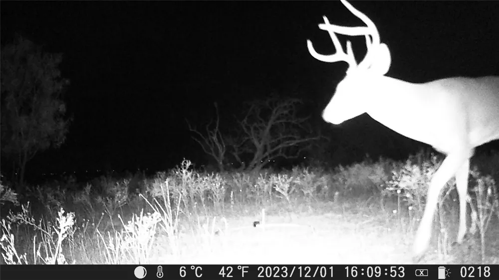 Comanche Hills Dr Comanche, TX 76442