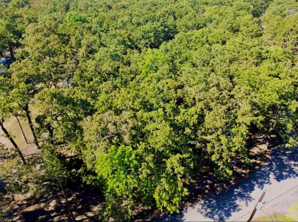 804 Trosper Trace Quinlan, TX 75474