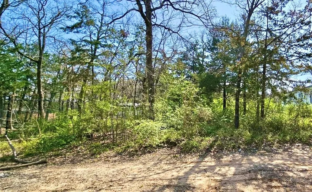 804 Trosper Trace Quinlan, TX 75474