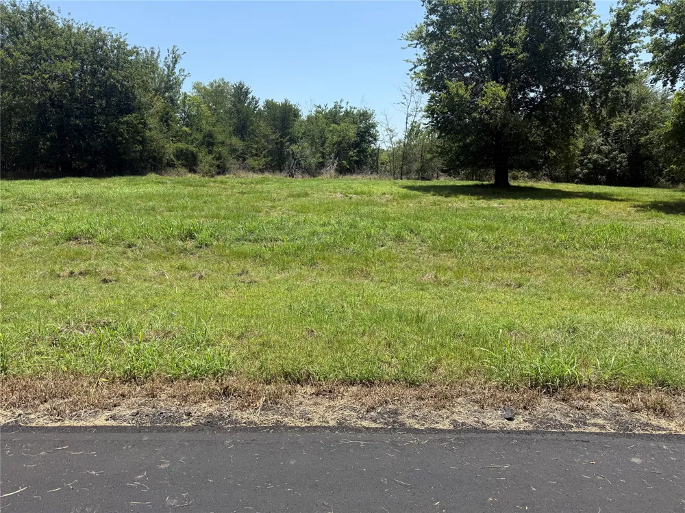Sterling Drive Streetman, TX 75859