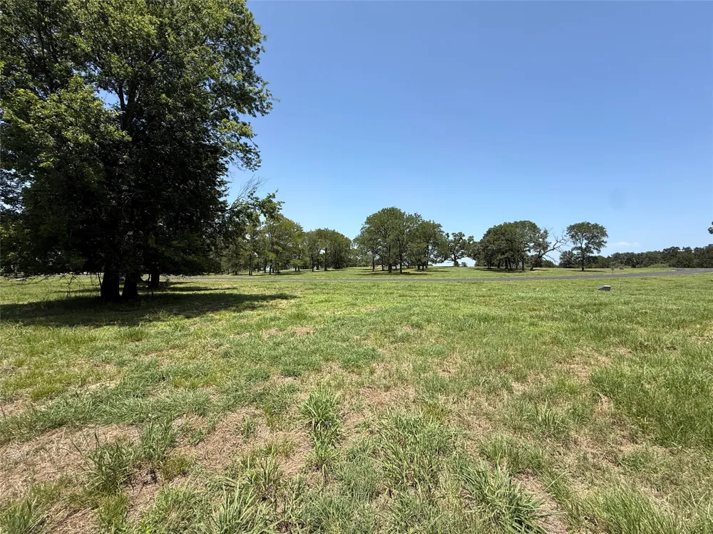 Sterling Drive Streetman, TX 75859