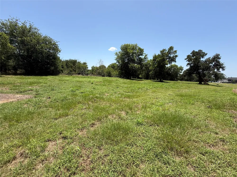 Sterling Drive Streetman, TX 75859