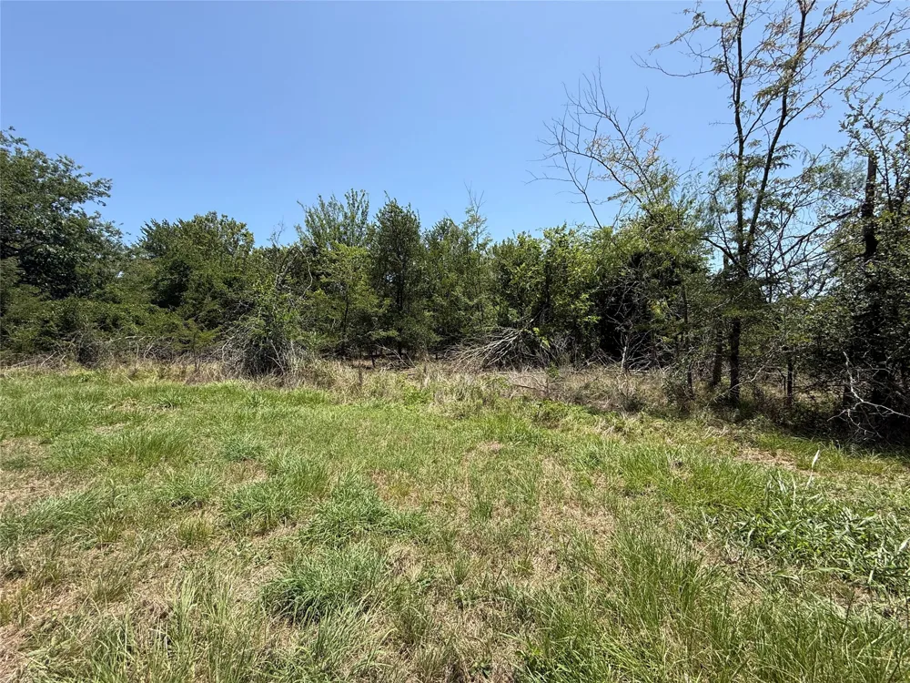 Sterling Drive Streetman, TX 75859