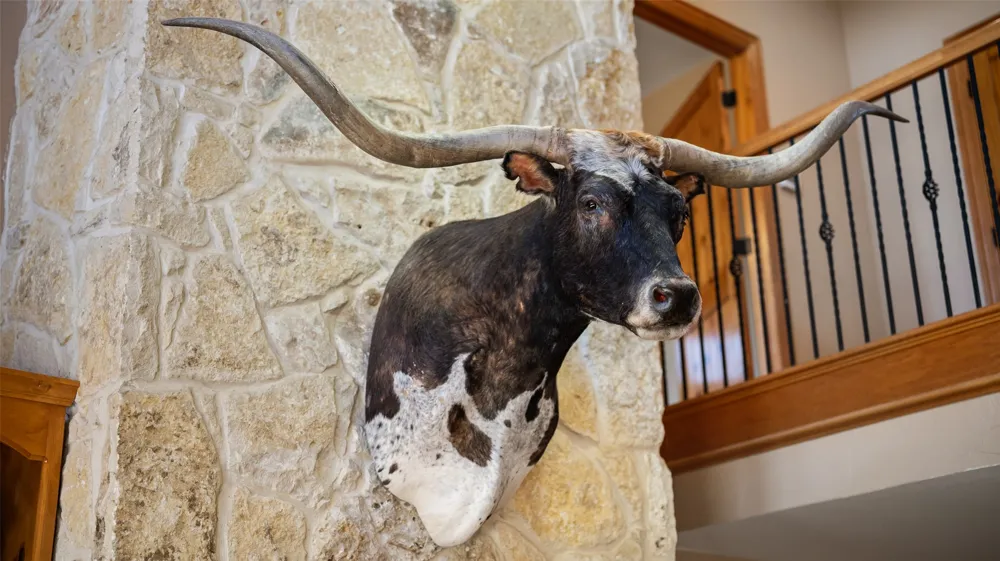 7999 County Road 151 Kaufman, TX 75142