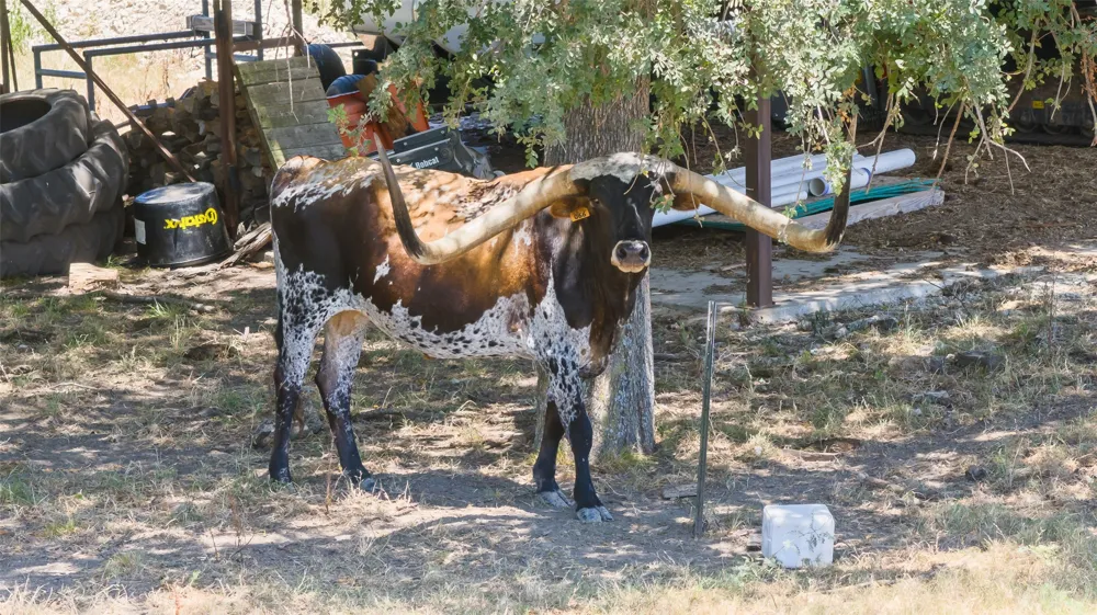 7999 County Road 151 Kaufman, TX 75142