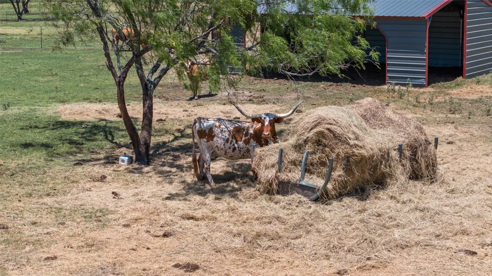 7999 County Road 151 Kaufman, TX 75142