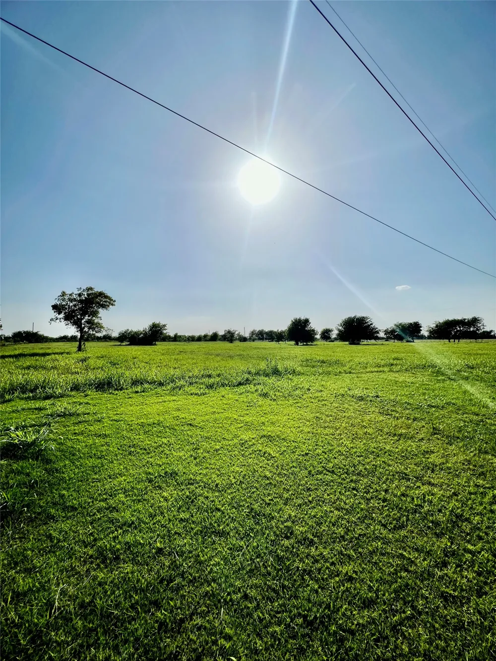 394 Hcr 1143 Blum, TX 76627
