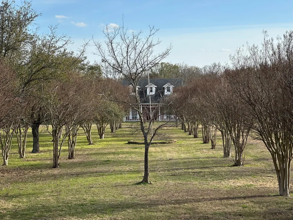 8099 W Interstate Highway 30 Cumby, TX 75433