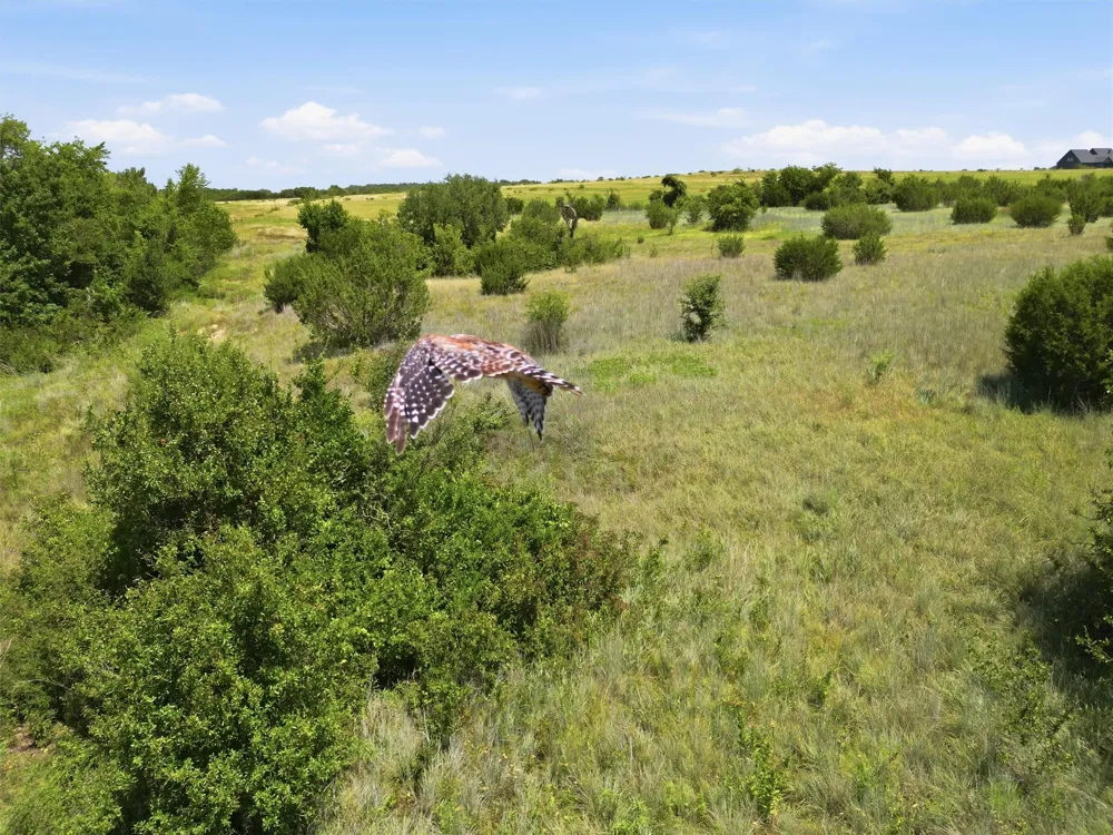 625 Hollow Drive Lipan, TX 76462