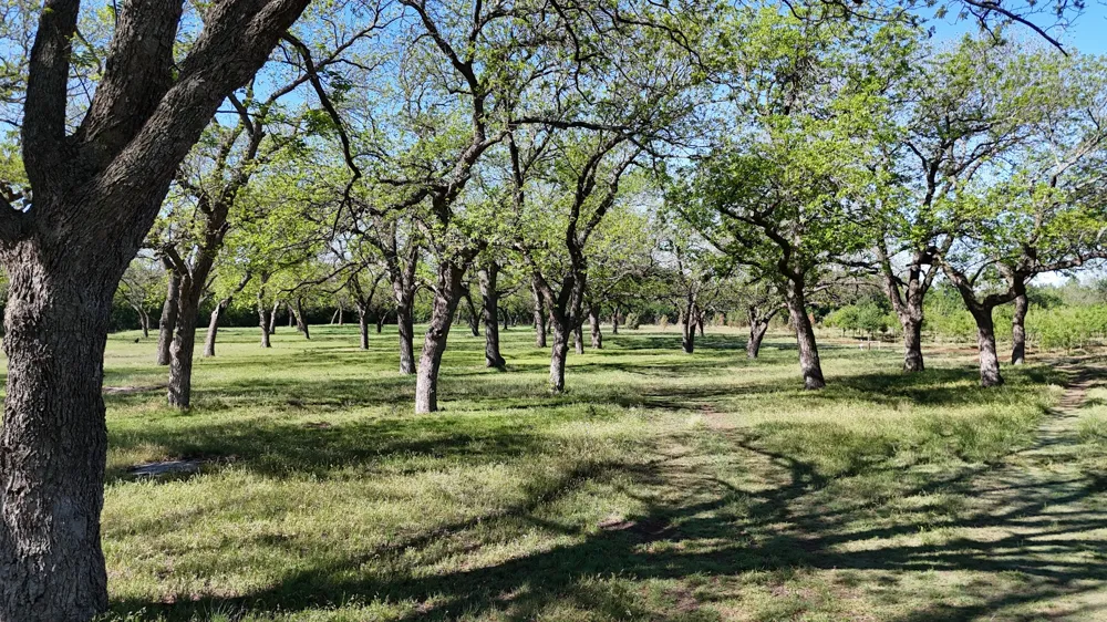401 County Road 326 Comanche, TX 76442