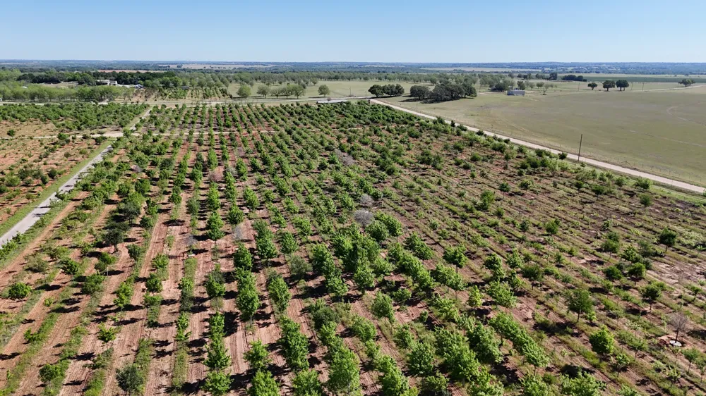 401 County Road 326 Comanche, TX 76442