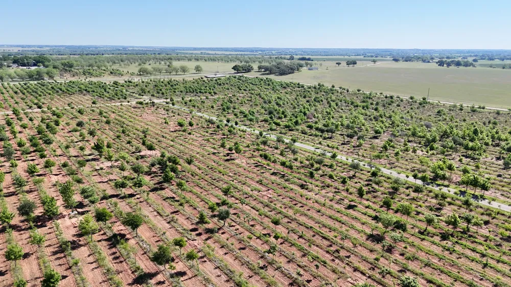 401 County Road 326 Comanche, TX 76442