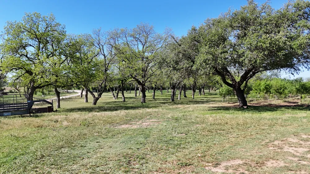 401 County Road 326 Comanche, TX 76442