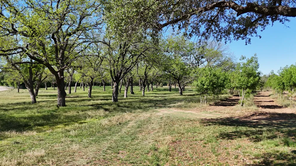 401 County Road 326 Comanche, TX 76442