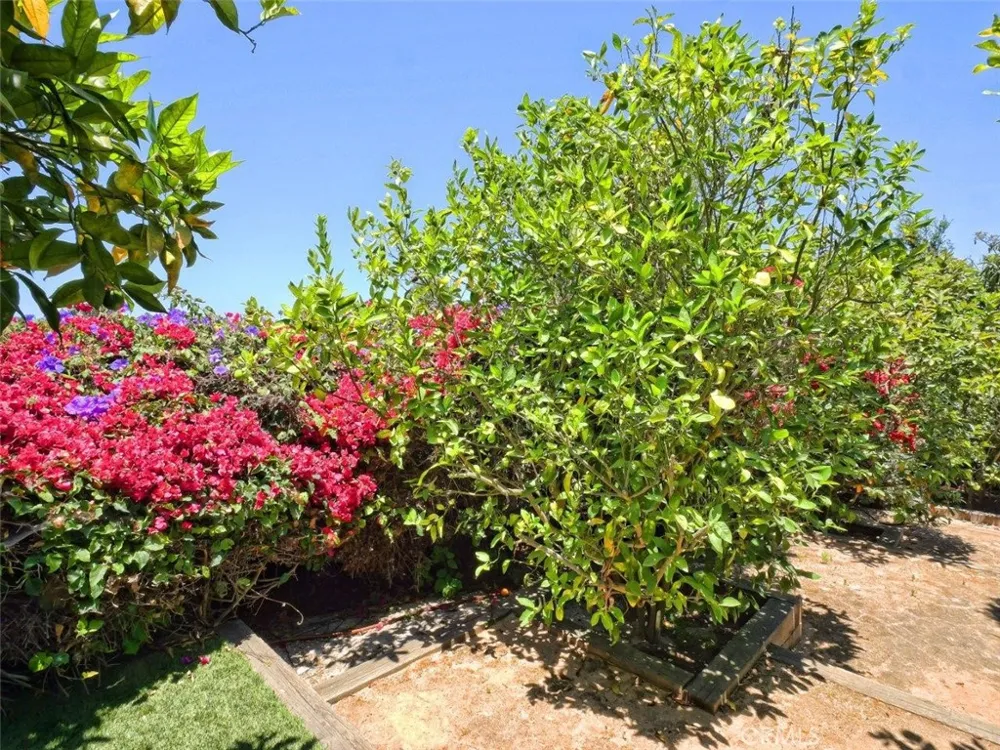 23 Country Meadow Road Rolling Hills Estates, CA 90274