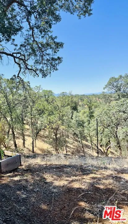 22168 Roe Way Cottonwood, CA 96022