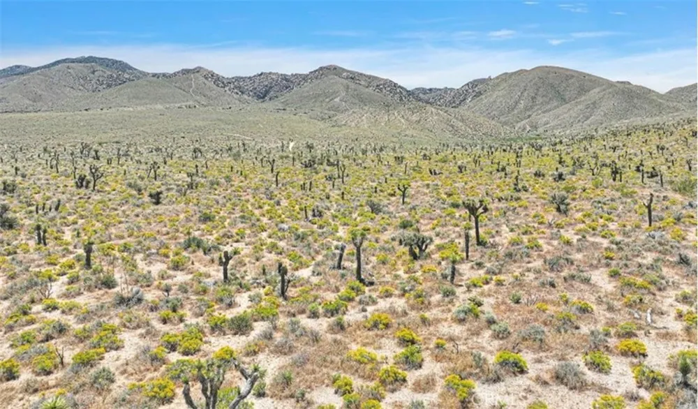 Near Sutter Lucerne Valley, CA 92356