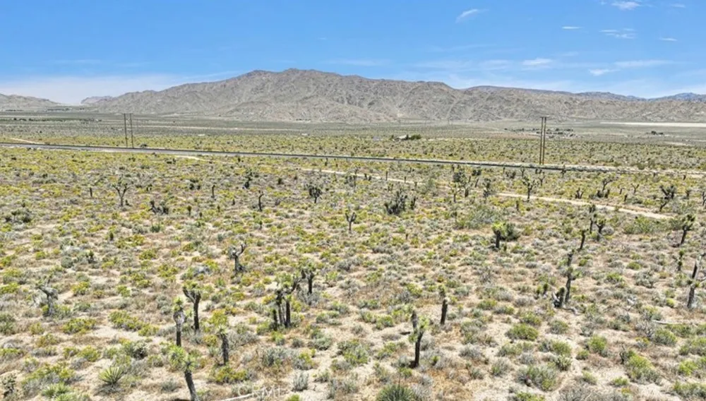 Near Sutter Lucerne Valley, CA 92356