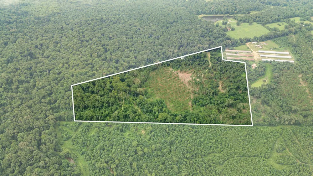 1609 County Road 3224 Center, TX 75935