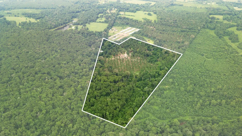 1609 County Road 3224 Center, TX 75935