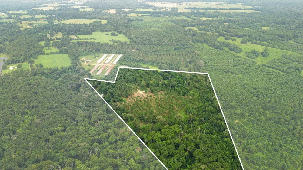 1609 County Road 3224 Center, TX 75935