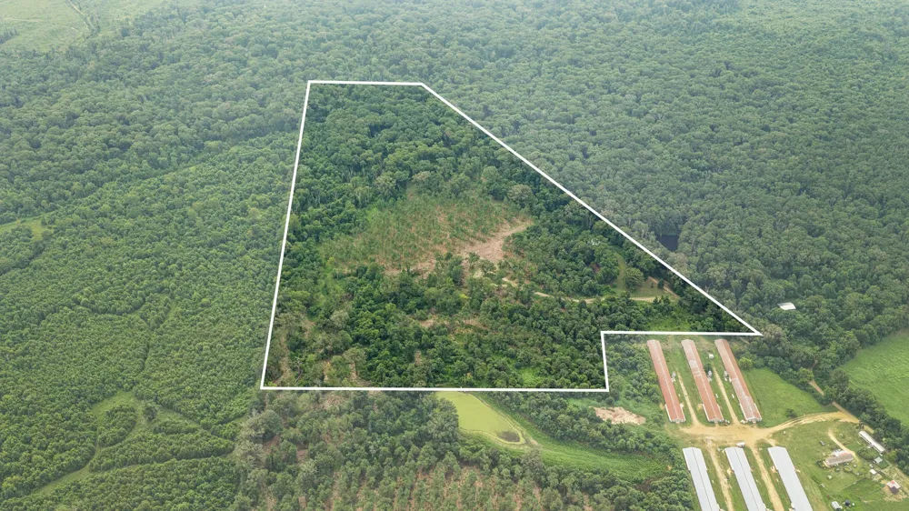 1609 County Road 3224 Center, TX 75935